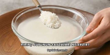Pirinç Suyunun Faydaları Nelerdir?