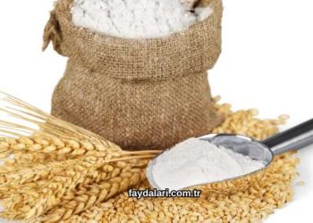 Pirinç Unu Maskesi Faydaları Nelerdir?