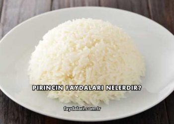 Pirincin Faydaları Nelerdir?