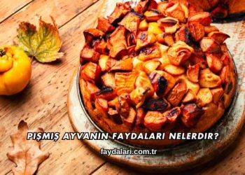 Pişmiş Ayvanın Faydaları Nelerdir?