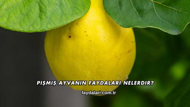 Pişmiş Ayvanın Faydaları Nelerdir?