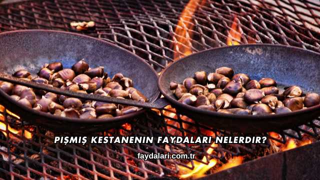 Pişmiş Kestanenin Faydaları Nelerdir?