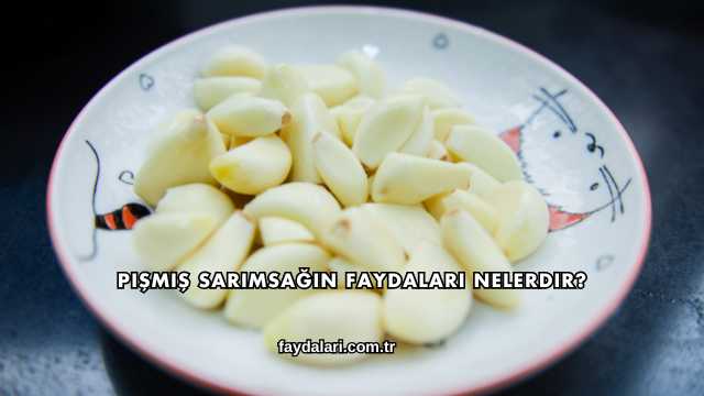 Pişmiş Sarımsağın Faydaları Nelerdir?