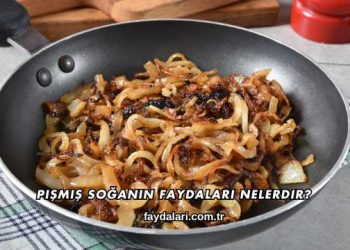 Pişmiş Soğanın Faydaları Nelerdir?