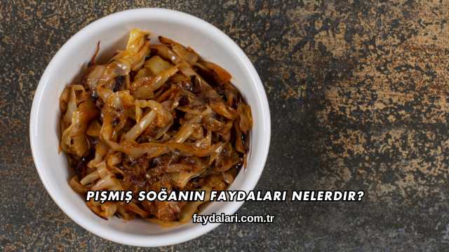 Pişmiş Soğanın Faydaları Nelerdir?