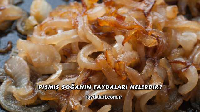 Pişmiş Soğanın Faydaları Nelerdir?