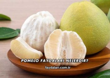 Pomelo Faydaları Nelerdir?