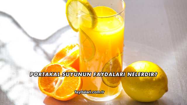 Portakal Suyunun Faydaları Nelerdir?