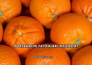 Portakalın Faydaları Nelerdir?