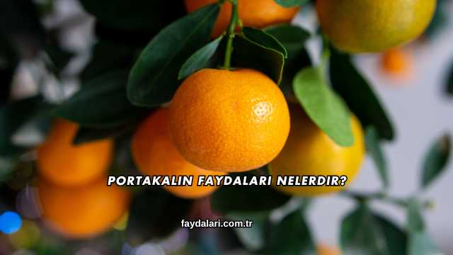 Portakalın Faydaları Nelerdir?
