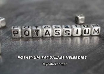Potasyum Faydaları Nelerdir?