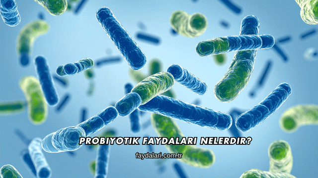 Probiyotik Faydaları Nelerdir?