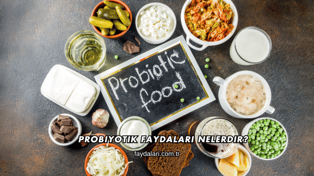 Probiyotik Faydaları Nelerdir?
