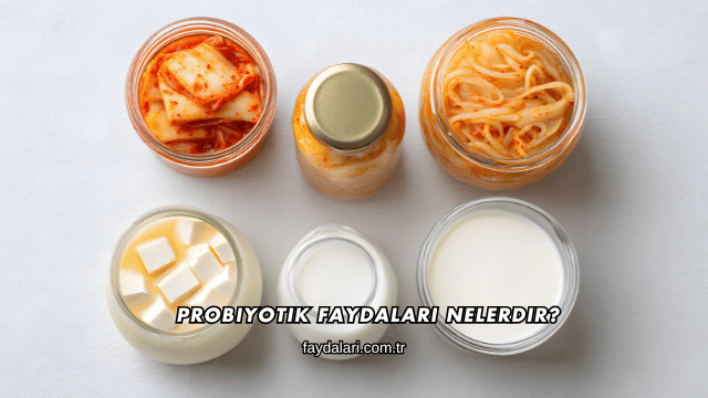 Probiyotik Faydaları Nelerdir?