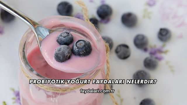 Probiyotik Yoğurt Faydaları Nelerdir?