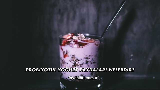 Probiyotik Yoğurt Faydaları Nelerdir?