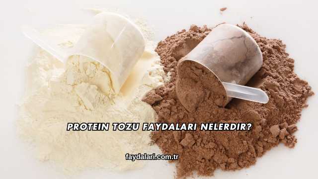 Protein Tozu Faydaları Nelerdir?