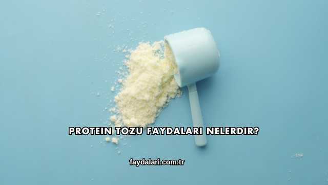 Protein Tozu Faydaları Nelerdir?