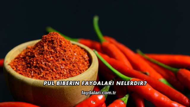 Pul Biberin Faydaları Nelerdir?