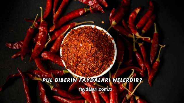 Pul Biberin Faydaları Nelerdir?