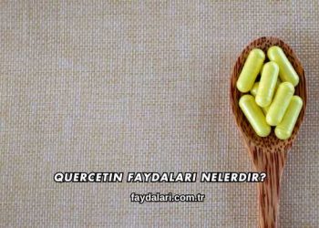 Quercetin Faydaları Nelerdir?