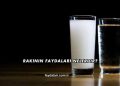 Rakının Faydaları Nelerdir?