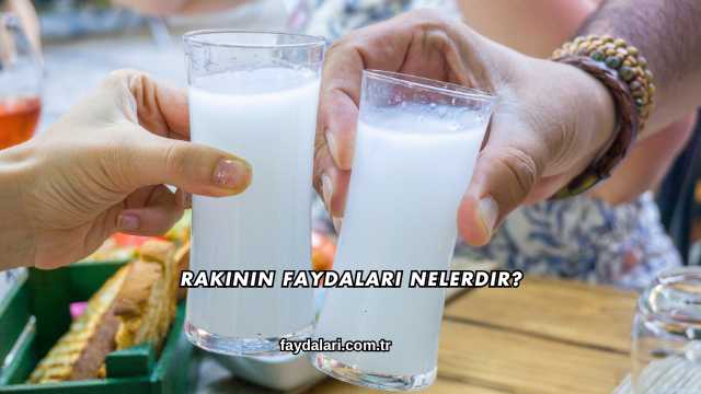 Rakının Faydaları Nelerdir?