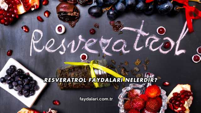Resveratrol Faydaları Nelerdir?