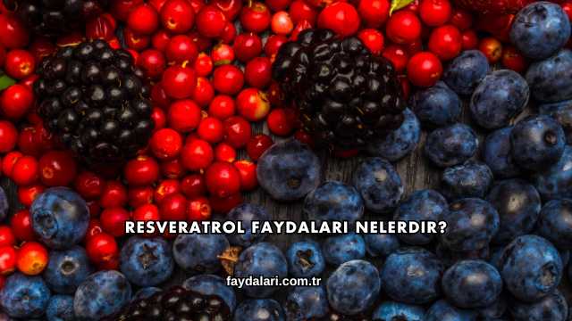 Resveratrol Faydaları Nelerdir?