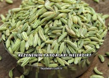 Rezenenin Faydaları Nelerdir?