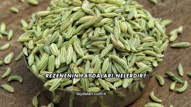 Rezenenin Faydaları Nelerdir?