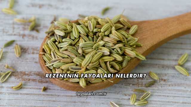 Rezenenin Faydaları Nelerdir?