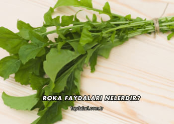 Roka Faydaları Nelerdir?