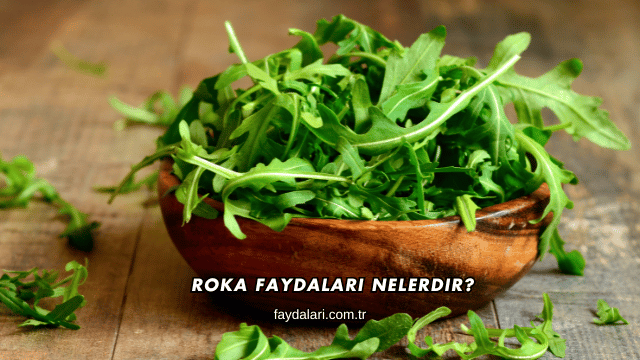 Roka Faydaları Nelerdir?