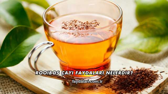 Rooibos Çayı Faydaları Nelerdir?