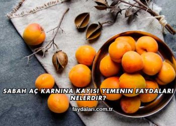 Sabah Aç Karnına Kayısı Yemenin Faydaları Nelerdir?