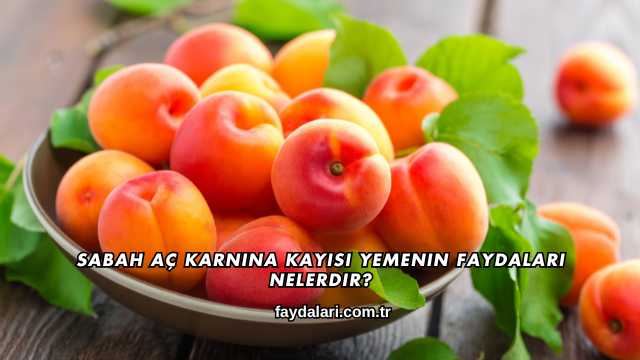 Sabah Aç Karnına Kayısı Yemenin Faydaları Nelerdir?