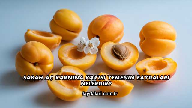 Sabah Aç Karnına Kayısı Yemenin Faydaları Nelerdir?