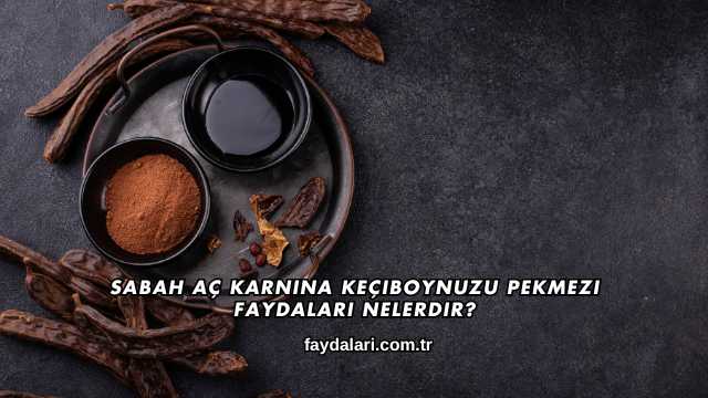 Sabah Aç Karnına Keçiboynuzu Pekmezi Faydaları Nelerdir?