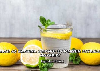 Sabah Aç Karnına Limonlu Su İçmenin Faydaları Nelerdir?