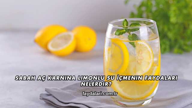 Sabah Aç Karnına Limonlu Su İçmenin Faydaları Nelerdir?