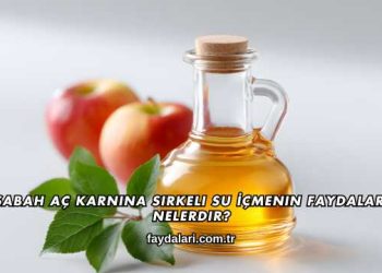 Sabah Aç Karnına Sirkeli Su İçmenin Faydaları Nelerdir?