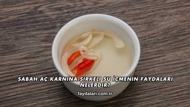 Sabah Aç Karnına Sirkeli Su İçmenin Faydaları Nelerdir?