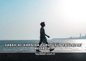 Sabah Aç Karnına Yürüyüşün Faydaları Nelerdir?