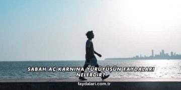 Sabah Aç Karnına Yürüyüşün Faydaları Nelerdir?