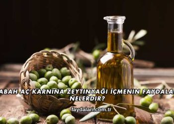 Sabah Aç Karnına Zeytinyağı İçmenin Faydaları Nelerdir?