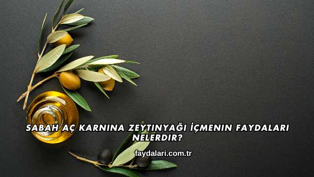 Sabah Aç Karnına Zeytinyağı İçmenin Faydaları Nelerdir?