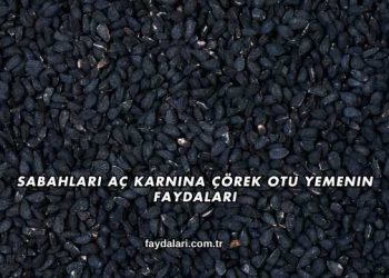 Sabahları Aç Karnına Çörek Otu Yemenin Faydaları