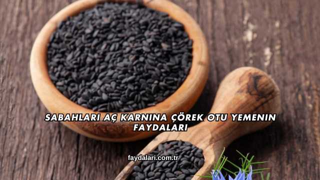 Sabahları Aç Karnına Çörek Otu Yemenin Faydaları