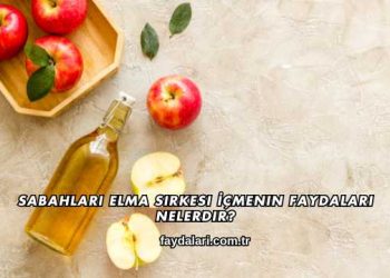 Sabahları Elma Sirkesi İçmenin Faydaları Nelerdir?
